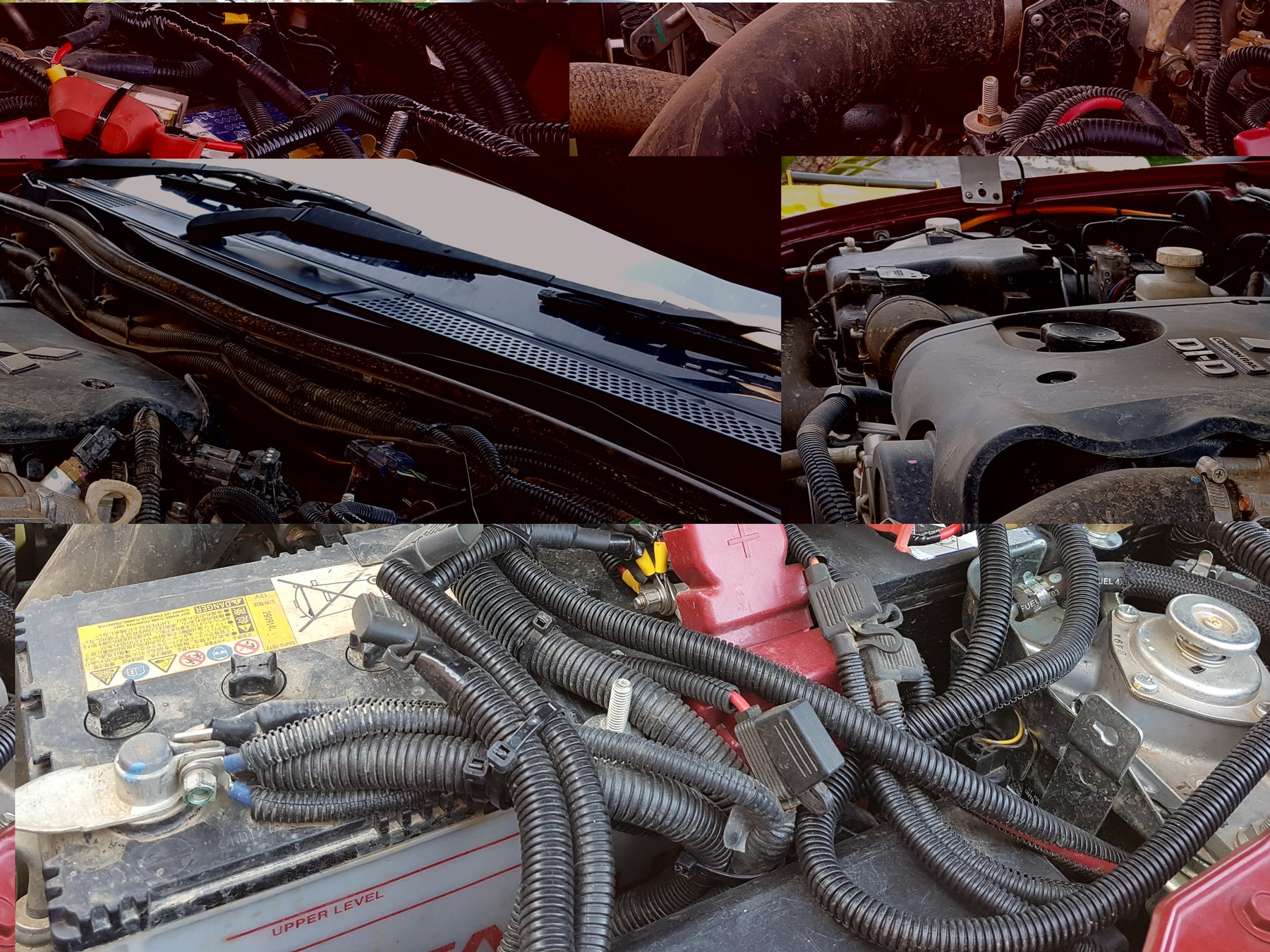Are All Engine Oils the Same? A Detailed Exploration