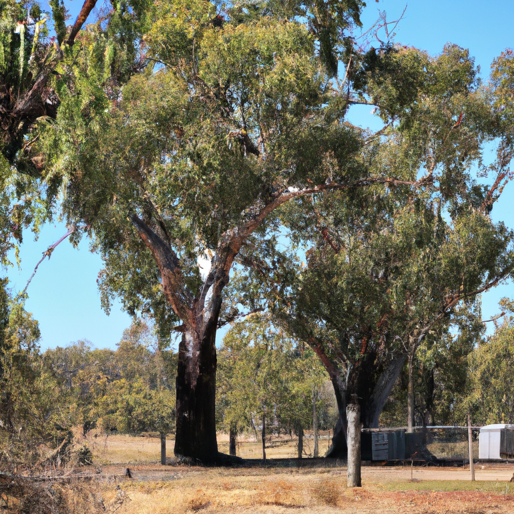 Transform Remote Living with Off-Grid Power Systems