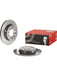 Brembo Disc Brake Rotor (Single) 255mm 08.9918.21 Brembo - Micks Gone Bush