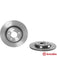 Brembo Xtra Carbon Disc Brake Rotor (Single) 300mm 08.A759.1X Brembo - Micks Gone Bush