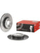 Brembo Disc Brake Rotor (Single) 300mm 08.C208.11 Brembo - Micks Gone Bush