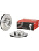 Brembo Disc Brake Rotor (Single) 300mm 09.4928.10 Brembo - Micks Gone Bush