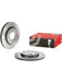 Brembo Disc Brake Rotor (Single) 247mm 09.5196.11 Brembo - Micks Gone Bush