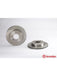 Brembo Disc Brake Rotor (Single) 252mm 09.5281.10 Brembo - Micks Gone Bush