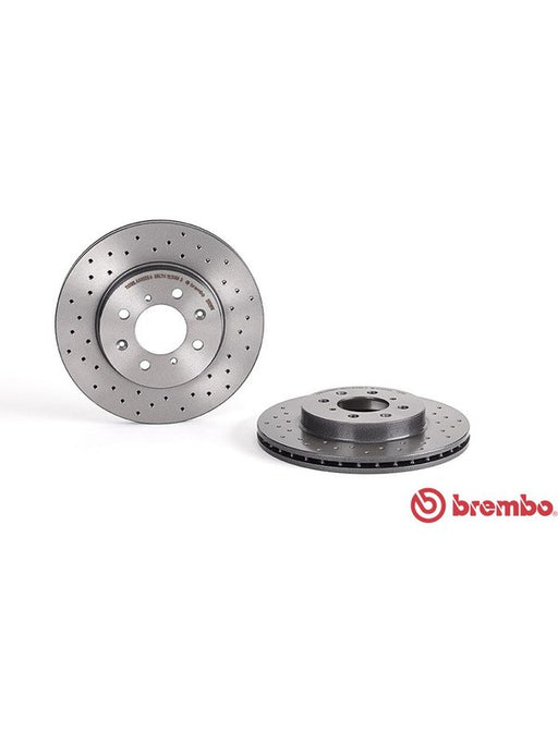 Brembo Xtra Carbon Disc Brake Rotor (Single) 262mm 09.5509.1X Brembo - Micks Gone Bush