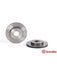 Brembo Xtra Carbon Disc Brake Rotor (Single) 262mm 09.5509.1X Brembo - Micks Gone Bush