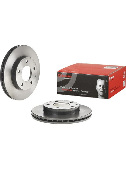 Brembo Disc Brake Rotor (Single) 258mm 09.5584.11 Discs Brembo - Micks Gone Bush