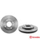 Brembo Disc Brake Rotor (Single) 256mm 09.5640.11 Brembo - Micks Gone Bush