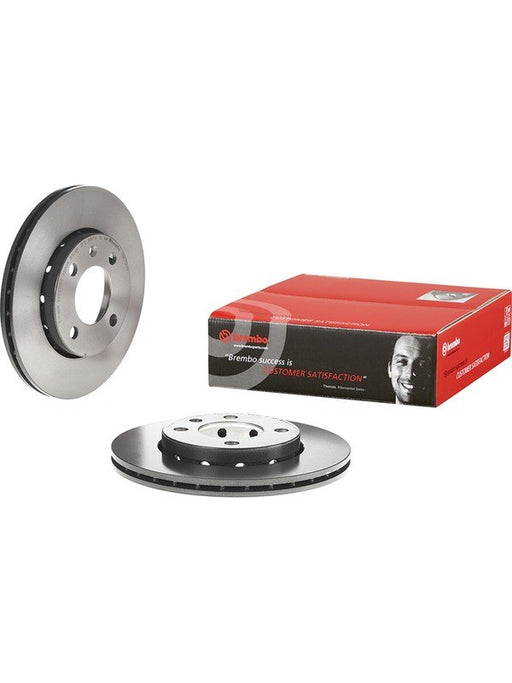 Brembo Disc Brake Rotor (Single) 239mm 09.6799.11 Brembo - Micks Gone Bush