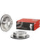 Brembo Disc Brake Rotor (Single) 291mm 09.6915.10 Discs Brembo - Micks Gone Bush