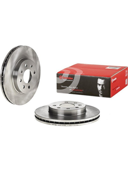Brembo Disc Brake Rotor (Single) 256mm 09.7820.10 Discs Brembo - Micks Gone Bush