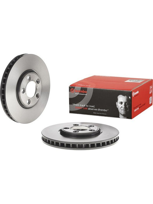 Brembo Disc Brake Rotor (Single) 300mm 09.7910.11 Brembo - Micks Gone Bush