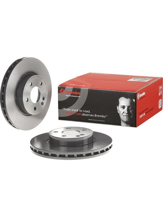 Brembo Disc Brake Rotor (Single) 300mm 09.8404.11 Brembo - Micks Gone Bush