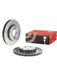 Brembo Disc Brake Rotor (Single) 288mm 09.8411.11 Brembo - Micks Gone Bush
