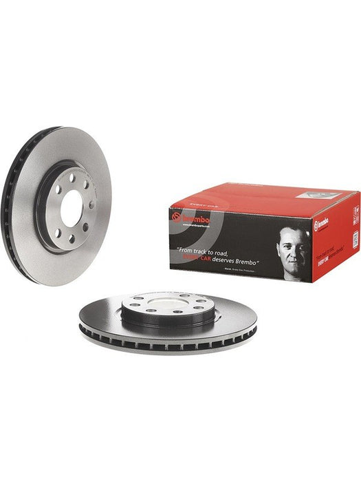 Brembo Disc Brake Rotor (Single) 260mm 09.8601.11 Brembo - Micks Gone Bush