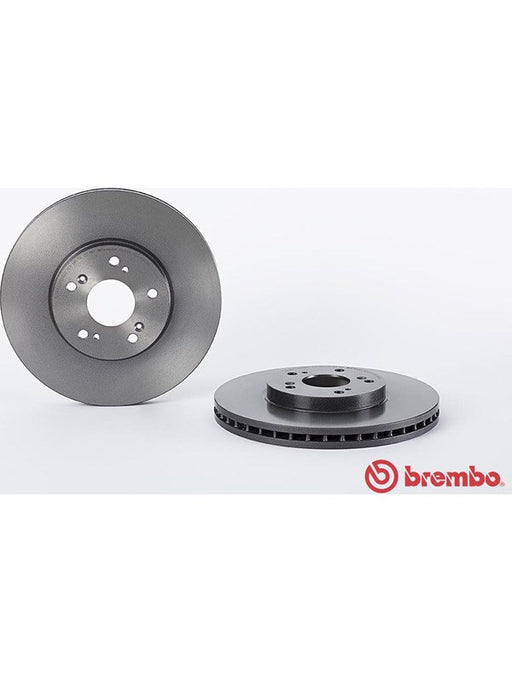 Brembo Disc Brake Rotor (Single) 300mm 09.8840.11 Brembo - Micks Gone Bush