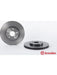 Brembo Disc Brake Rotor (Single) 300mm 09.8840.11 Brembo - Micks Gone Bush