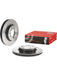 Brembo Disc Brake Rotor (Single) 317mm 09.8873.31 Brembo - Micks Gone Bush