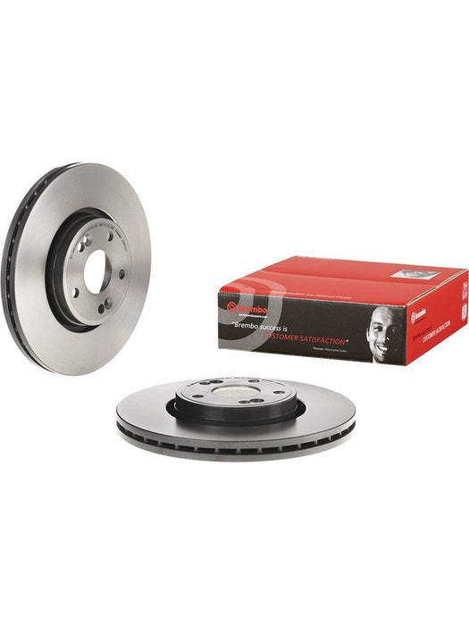Brembo Disc Brake Rotor (Single) 300mm 09.9074.11 Brembo - Micks Gone Bush