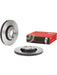 Brembo Disc Brake Rotor (Single) 300mm 09.9074.11 Brembo - Micks Gone Bush
