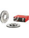 Brembo Disc Brake Rotor (Single) 254mm 09.9149.10 Brembo - Micks Gone Bush
