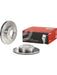 Brembo Disc Brake Rotor (Single) 241mm 09.9503.10 Discs Brembo - Micks Gone Bush
