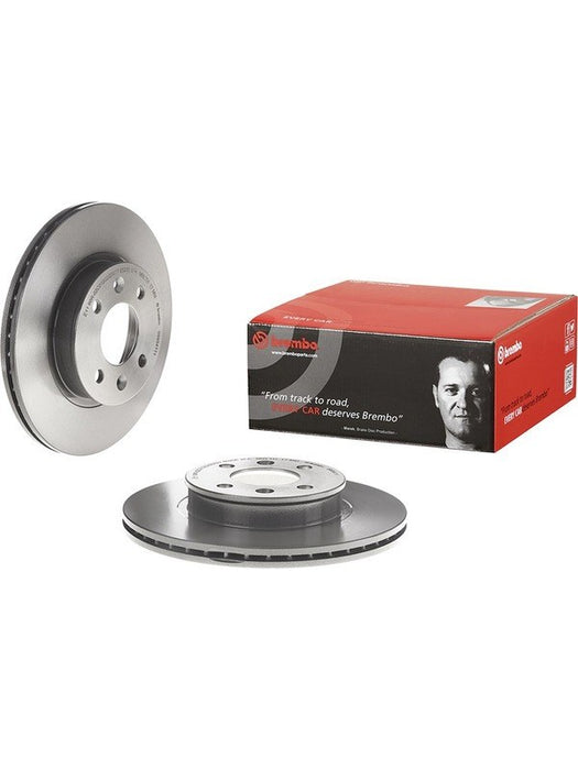 Brembo Disc Brake Rotor (Single) 256mm 09.9541.11 Brembo - Micks Gone Bush