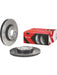 Brembo Xtra Carbon Disc Brake Rotor (Single) 312mm 09.9772.1X Brembo - Micks Gone Bush