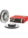 Brembo Disc Brake Rotor (Single) 330mm 09.9825.21 Brembo - Micks Gone Bush