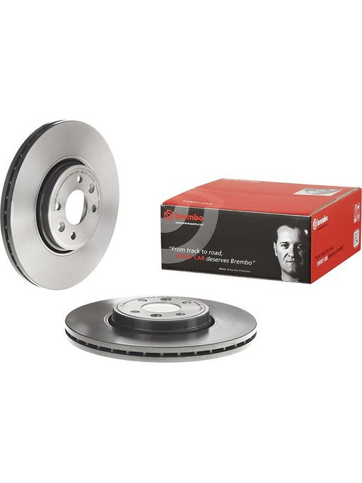 Brembo Disc Brake Rotor (Single) 300mm 09.9895.11 Brembo - Micks Gone Bush