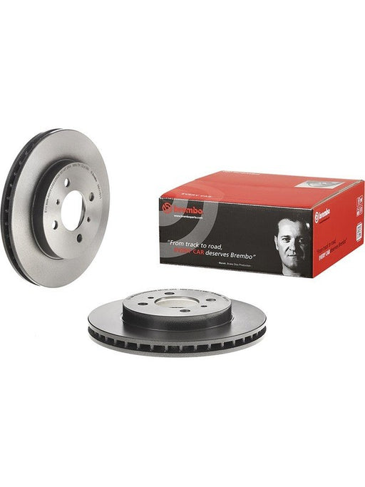 Brembo Disc Brake Rotor (Single) 256mm 09.A116.11 Brembo - Micks Gone Bush