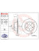 Brembo Disc Brake Rotor (Single) 289mm 09.A240.10 Brembo - Micks Gone Bush