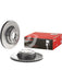 Brembo Disc Brake Rotor (Single) 330mm 09.A259.11 Brembo - Micks Gone Bush