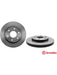 Brembo Disc Brake Rotor (Single) 330mm 09.A406.11 Brembo - Micks Gone Bush