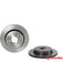 Brembo Disc Brake Rotor (Single) 330mm 09.A555.11 Discs Brembo - Micks Gone Bush