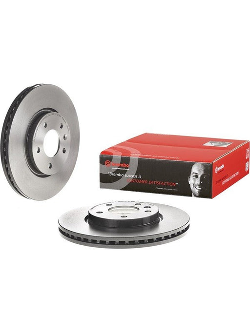 Brembo Disc Brake Rotor (Single) 300mm 09.B356.11 Brembo - Micks Gone Bush