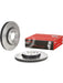 Brembo Disc Brake Rotor (Single) 300mm 09.B356.11 Brembo - Micks Gone Bush