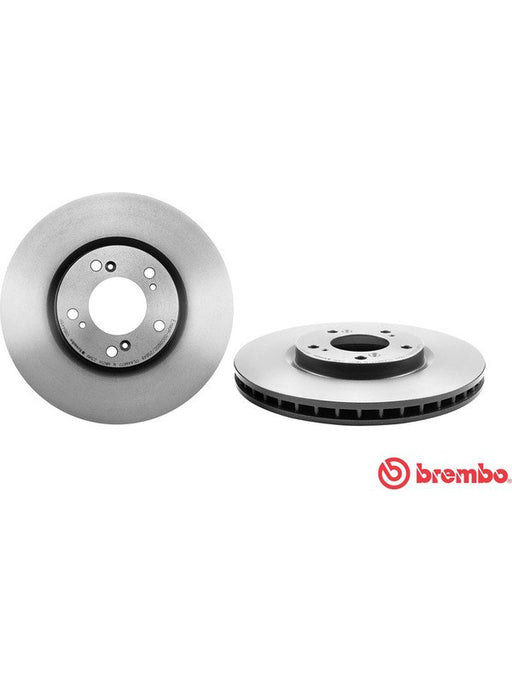 Brembo Disc Brake Rotor (Single) 300mm 09.B445.11 Brembo - Micks Gone Bush