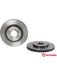 Brembo Disc Brake Rotor (Single) 296mm 09.B596.11 Brembo - Micks Gone Bush