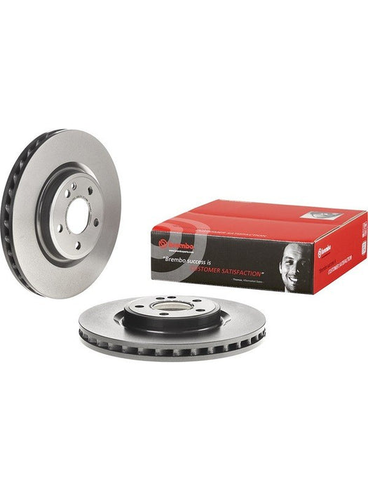 Brembo Disc Brake Rotor (Single) 320mm 09.B807.41 Discs Brembo - Micks Gone Bush