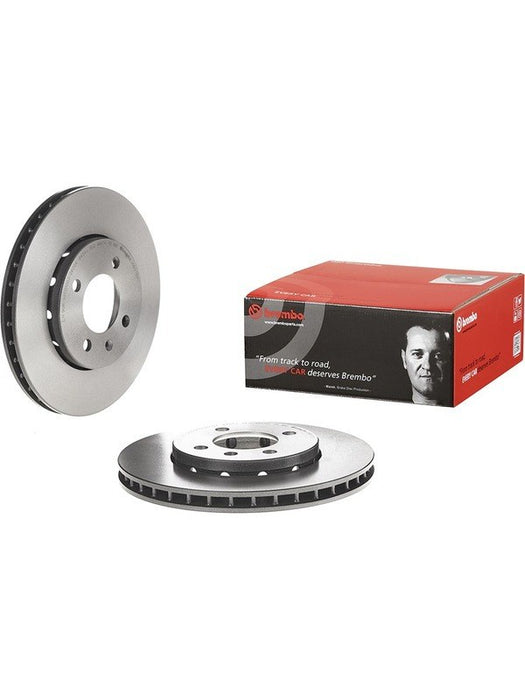 Brembo Disc Brake Rotor (Single) 256mm 09.B975.11 Brembo - Micks Gone Bush