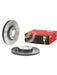 Brembo Disc Brake Rotor (Single) 300mm 09.C138.11 Brembo - Micks Gone Bush