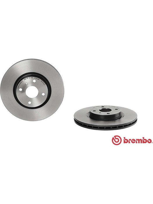 Brembo Disc Brake Rotor (Single) 280mm 09.C391.21 Brembo - Micks Gone Bush