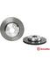 Brembo Disc Brake Rotor (Single) 345mm 09.C401.13 Brembo - Micks Gone Bush