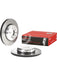Brembo Disc Brake Rotor (Single) 345mm 09.C404.13 Brembo - Micks Gone Bush