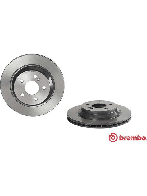Brembo Disc Brake Rotor (Single) 300mm 09.C941.11 Discs Brembo - Micks Gone Bush