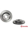 Brembo Disc Brake Rotor (Single) 300mm 09.C941.11 Discs Brembo - Micks Gone Bush