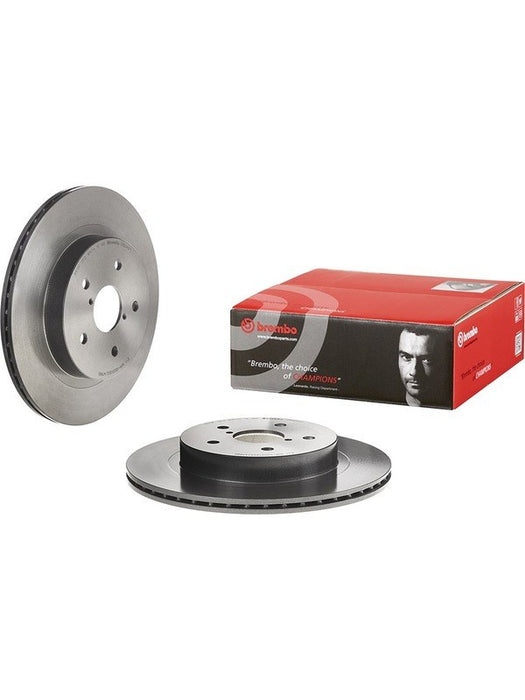 Brembo Disc Brake Rotor (Single) 300mm 09.D246.11 Discs Brembo - Micks Gone Bush