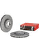 Brembo Premium OE Brake Rotor 09.D529.23 Brembo - Micks Gone Bush