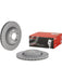 Brembo Disc Brake Rotor (Single) 300mm 09.D533.13 Brembo - Micks Gone Bush